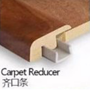 Carpet Reducer