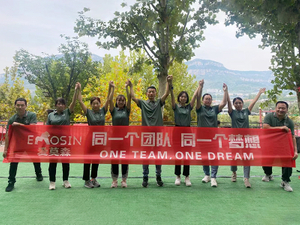 One Team One Dream.jpg